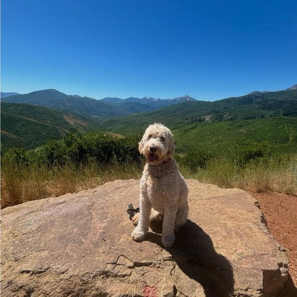 Meet your Posher, Nicole - Picture 9 of 9